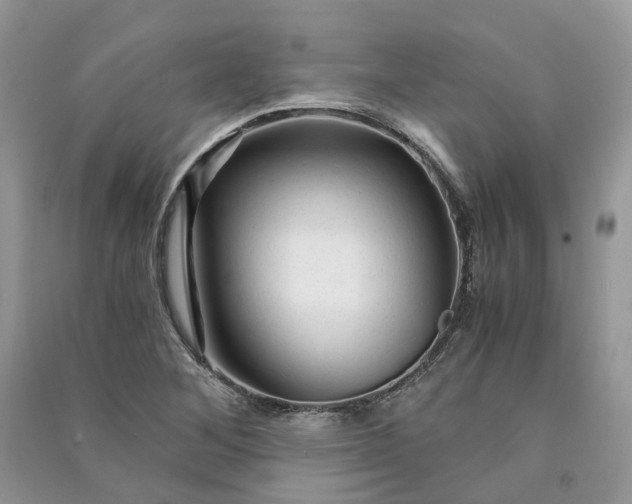 X0000090921268200708131425