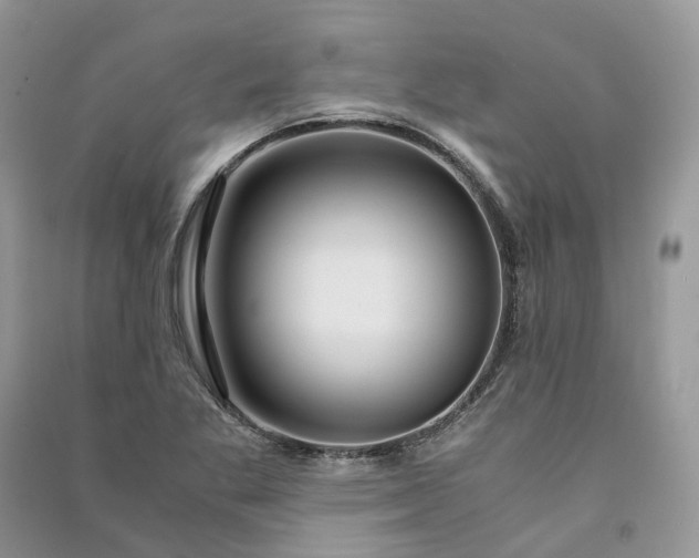 X0000090921269200708131425