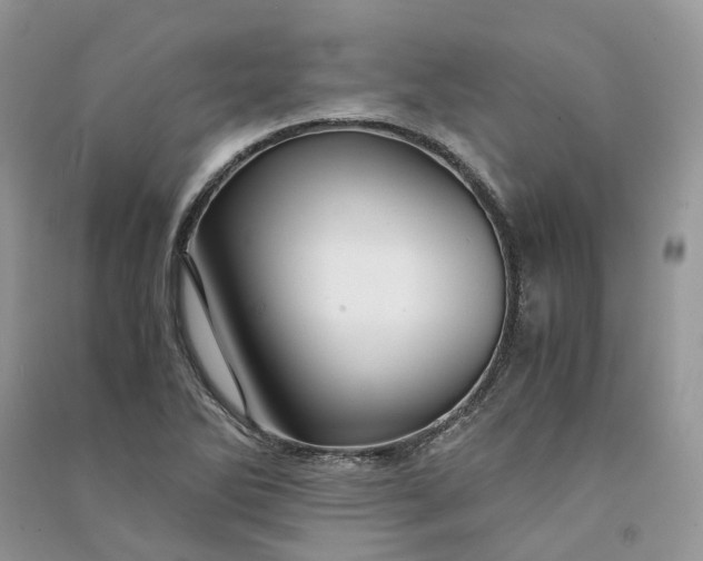 X0000090921270200708131425