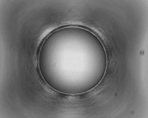 X0000090921271200708131425