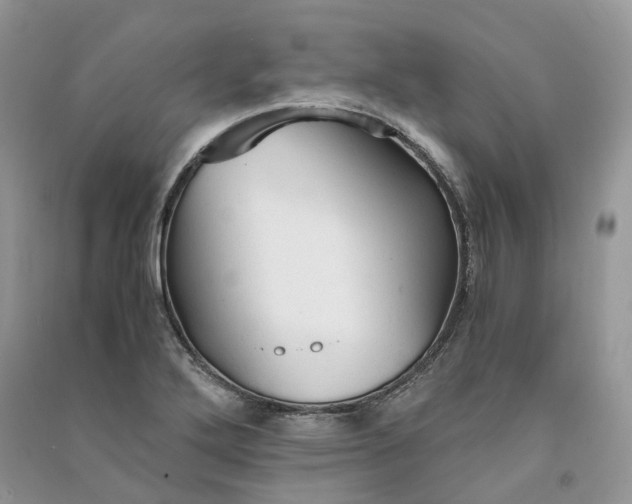 X0000090921272200708131425