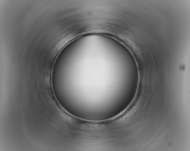 X0000090921273200708131425