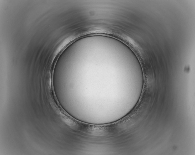 X0000090921274200708131425