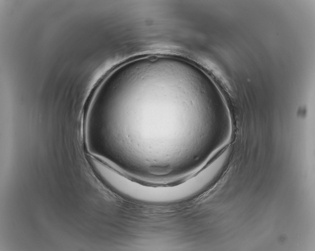 X0000090921275200708131425