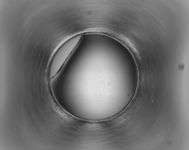 X0000090921276200708131425