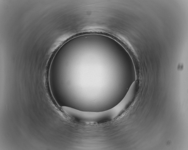 X0000090921277200708131425