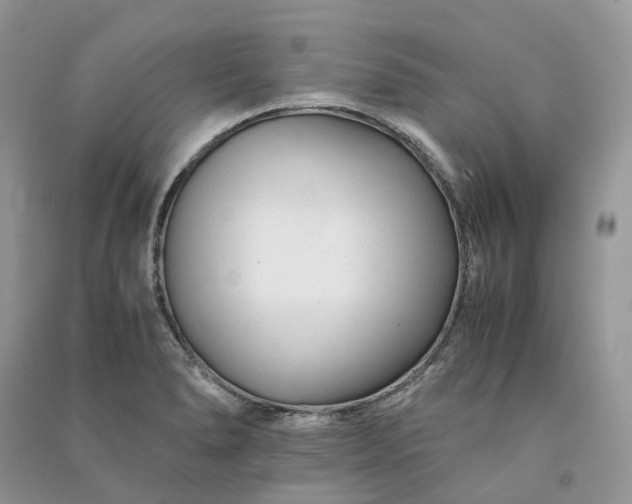 X0000090921278200708131425