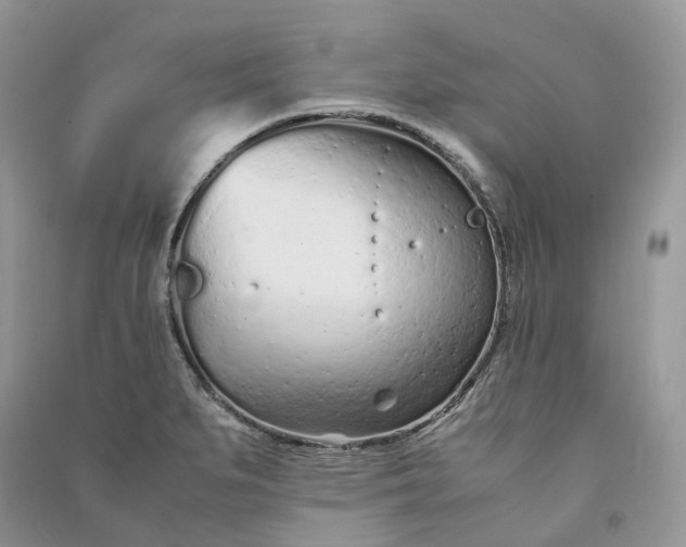 X0000090921279200708131425