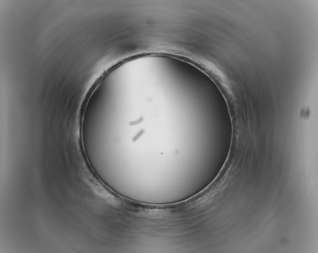 X0000090921280200708131425