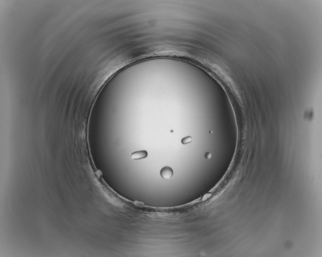 X0000090921281200708131425