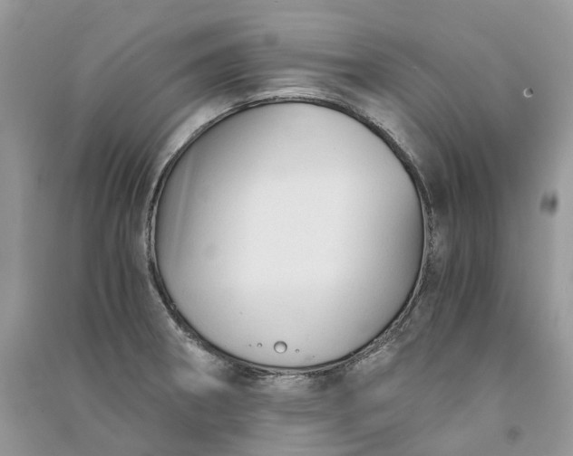 X0000090921282200708131425