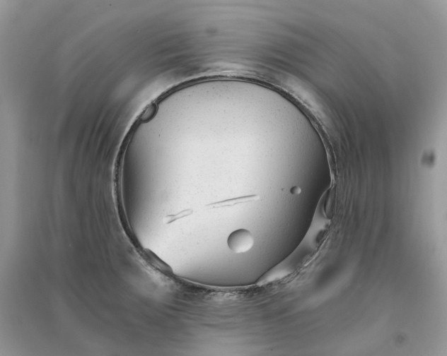 X0000090921283200708131425