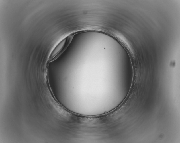 X0000090921284200708131425