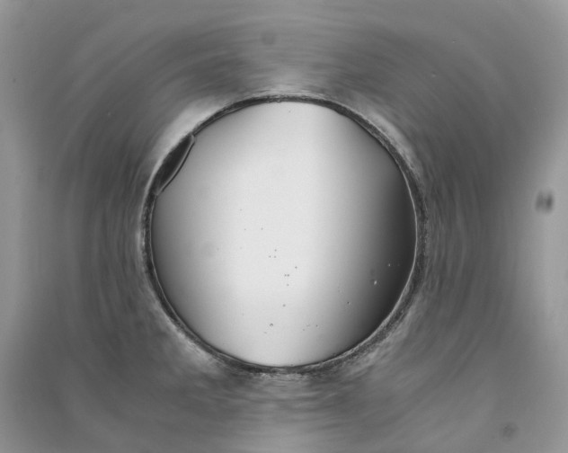 X0000090921285200708131425