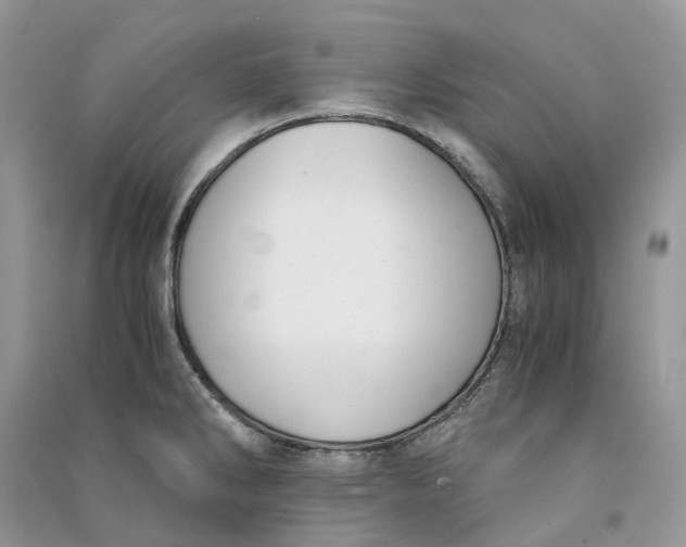 X0000090921286200708131425