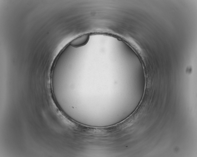 X0000090921287200708131425