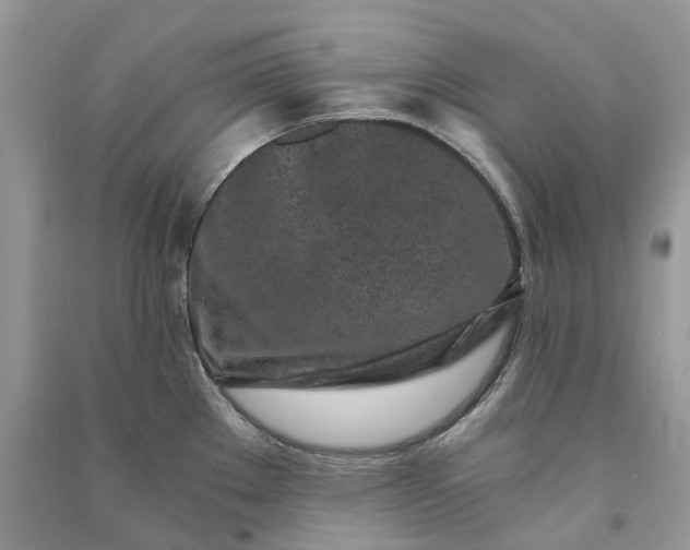 X0000090921289200708131425