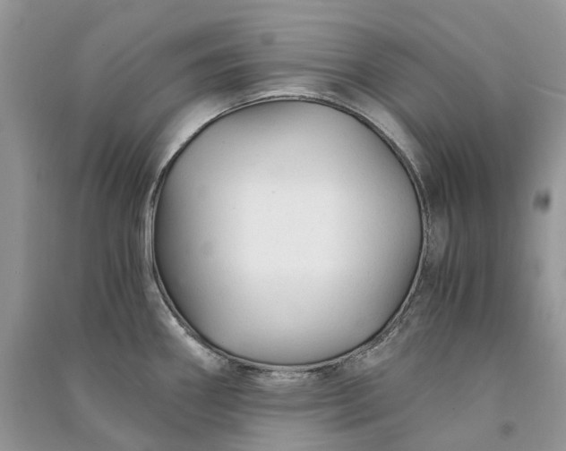 X0000090921290200708131425