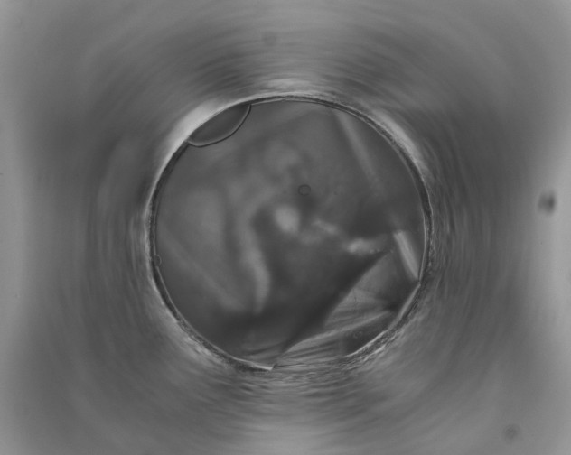 X0000090921291200708131425