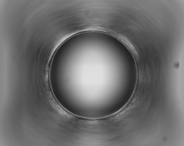 X0000090921292200708131425