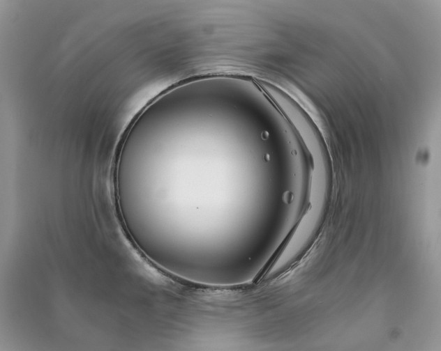 X0000090921293200708131425