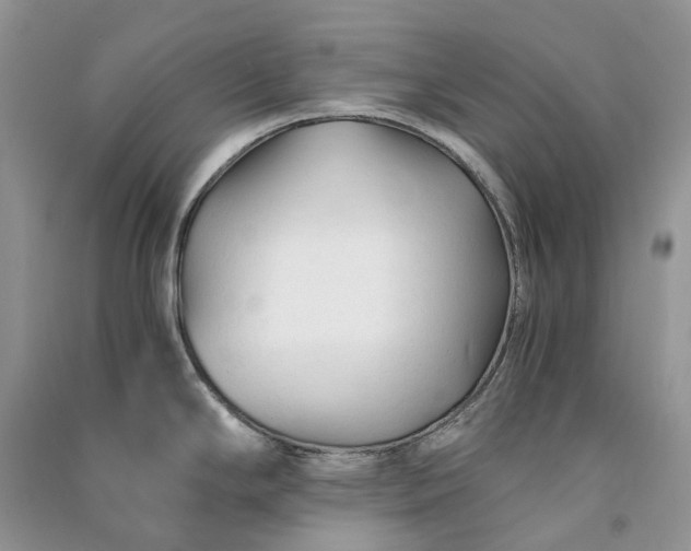 X0000090921294200708131425