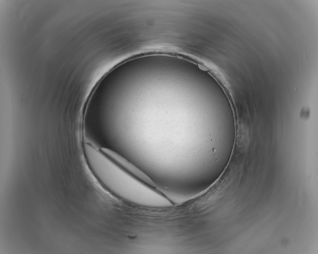 X0000090921295200708131425