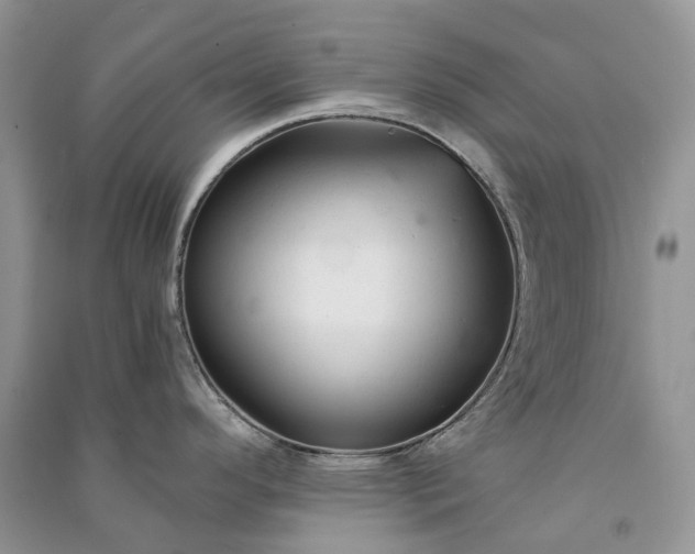 X0000090921296200708131425