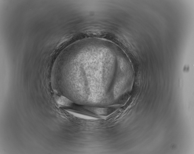 X0000090921297200708131424