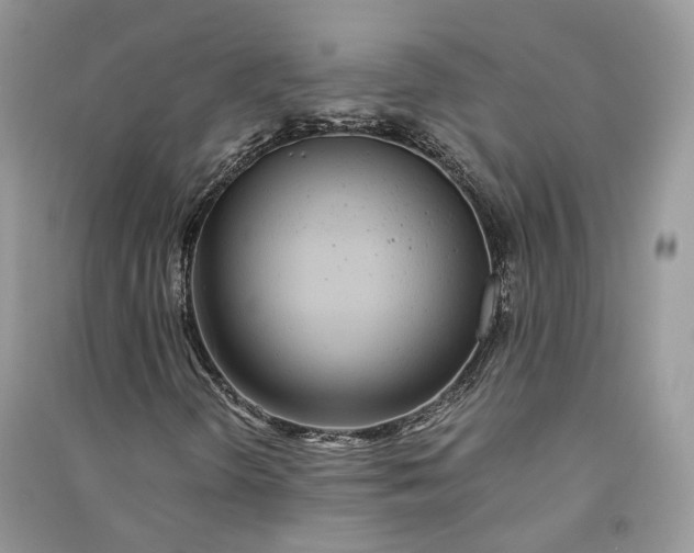 X0000090921298200708131424