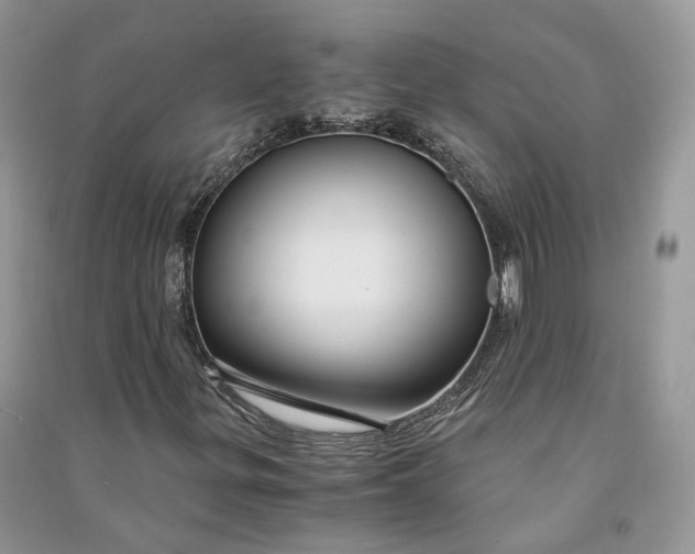 X0000090921299200708131424