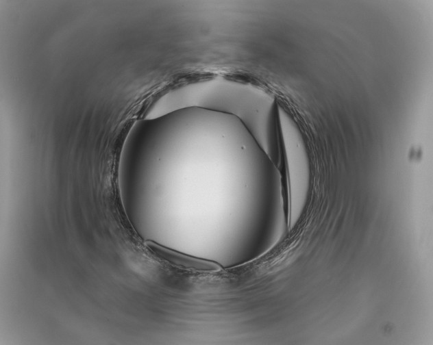 X0000090921300200708131424