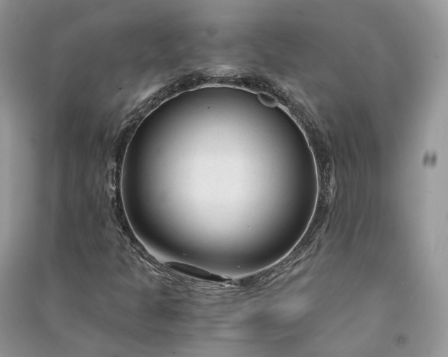 X0000090921301200708131424