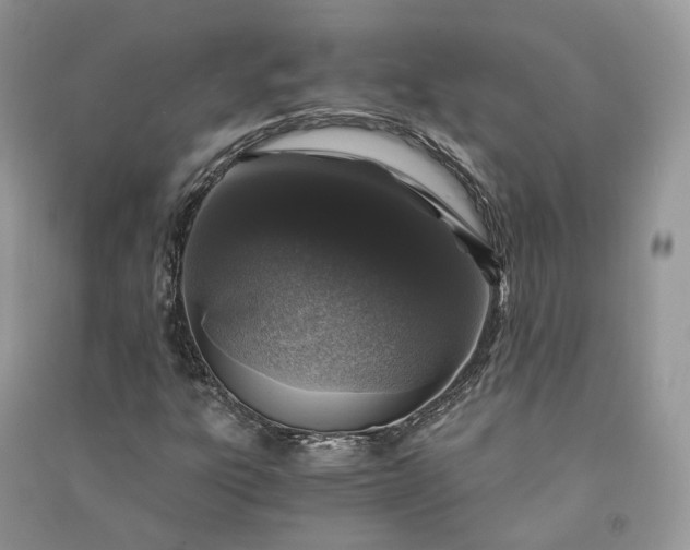 X0000090921303200708131424