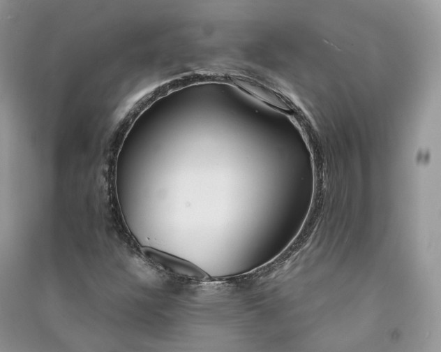 X0000090921304200708131424