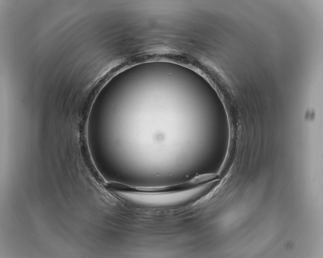 X0000090921305200708131424