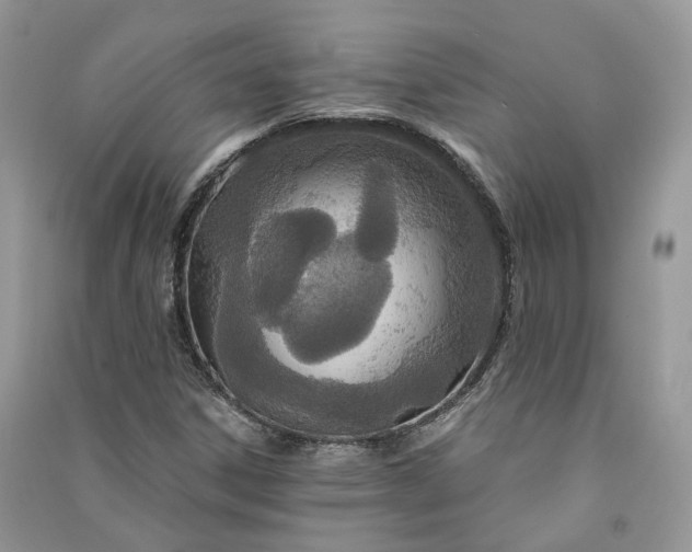 X0000090921306200708131424