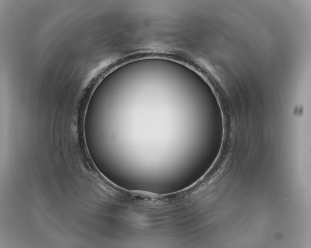 X0000090921307200708131424