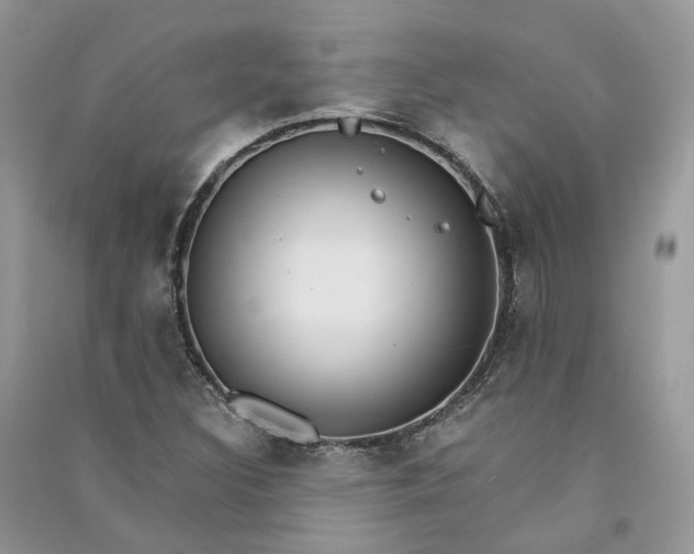 X0000090921308200708131424