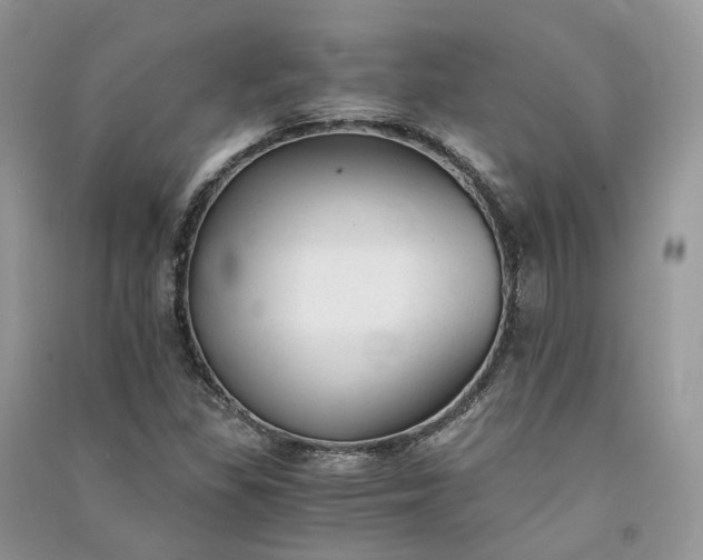 X0000090921309200708131424