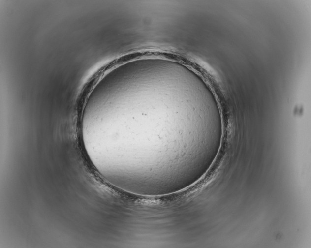 X0000090921310200708131424