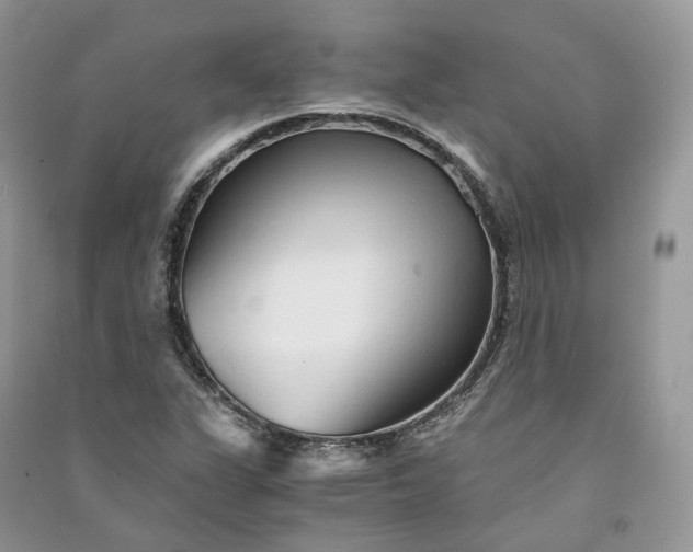 X0000090921311200708131424