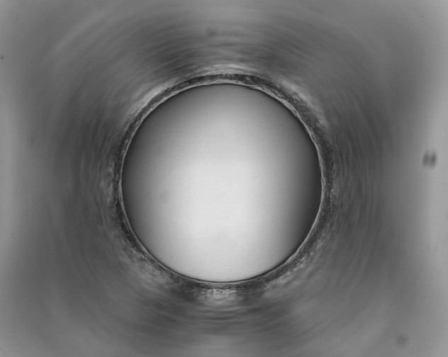 X0000090921313200708131424