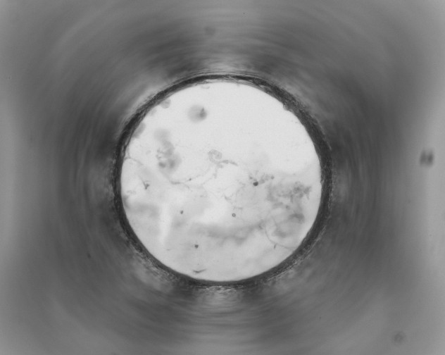 X0000090921314200708131424