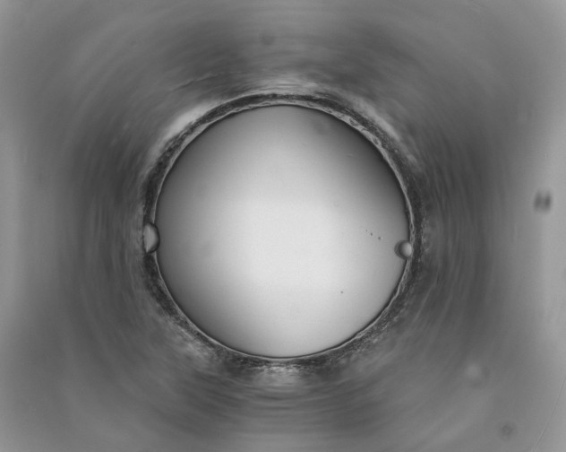 X0000090921315200708131424