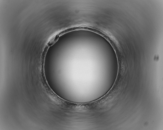 X0000090921316200708131424