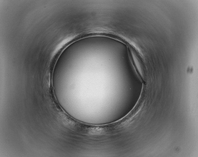 X0000090921317200708131424