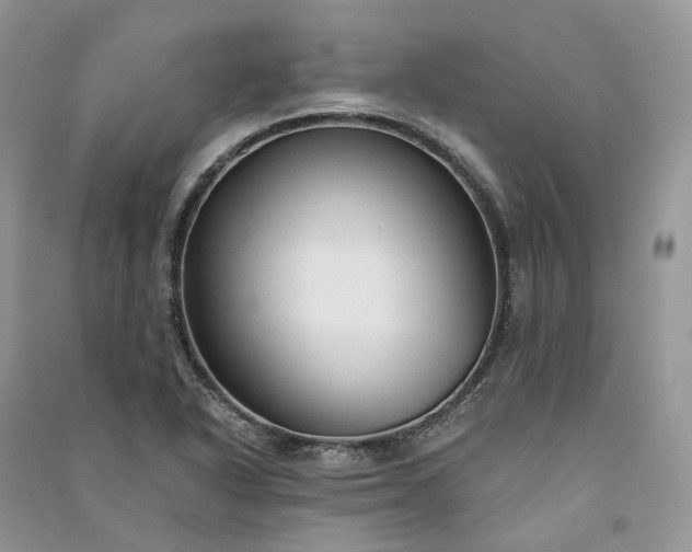 X0000090921318200708131424