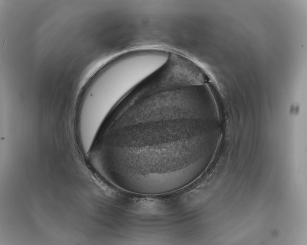 X0000090921319200708131424