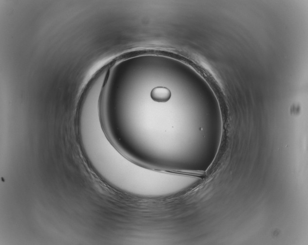 X0000090921320200708131424